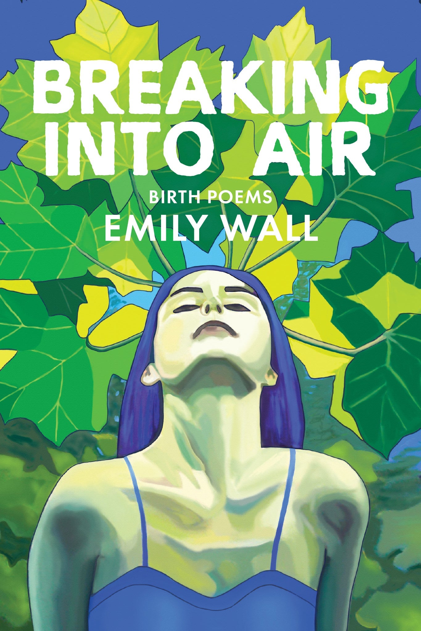 Cover image for Breaking into Air ISBN 9781597099530